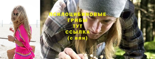 мескалин Майский