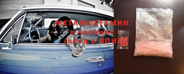 прущие грибы Магадан