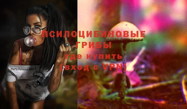 МДПВ Медногорск